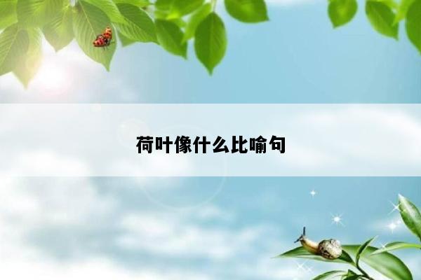荷叶像什么比喻句