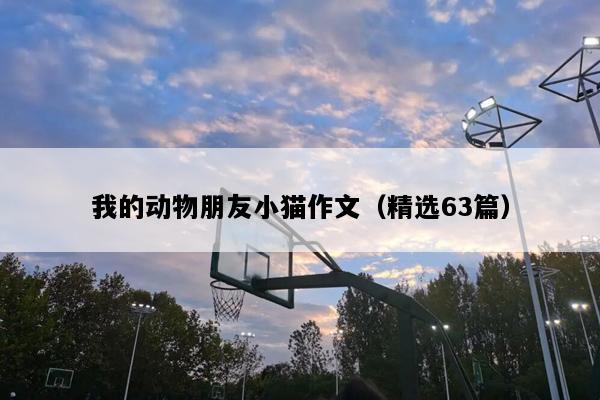 我的动物朋友小猫作文（精选63篇）