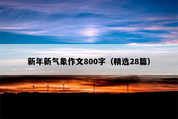 新年新气象作文800字（精选28篇）