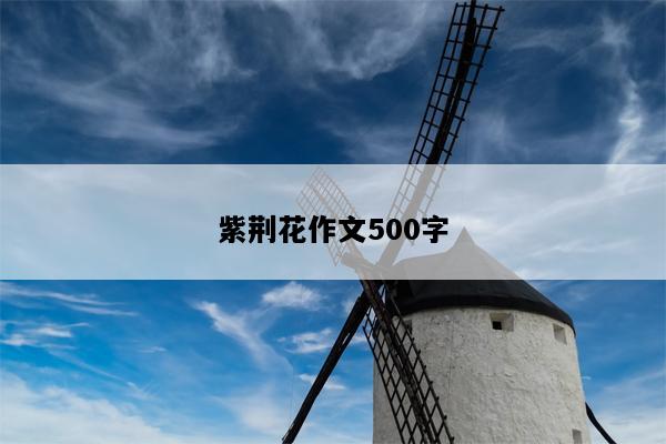 紫荆花作文500字