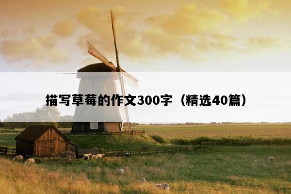描写草莓的作文300字（精选40篇）