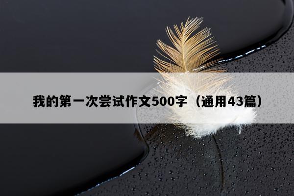 我的第一次尝试作文500字（通用43篇）