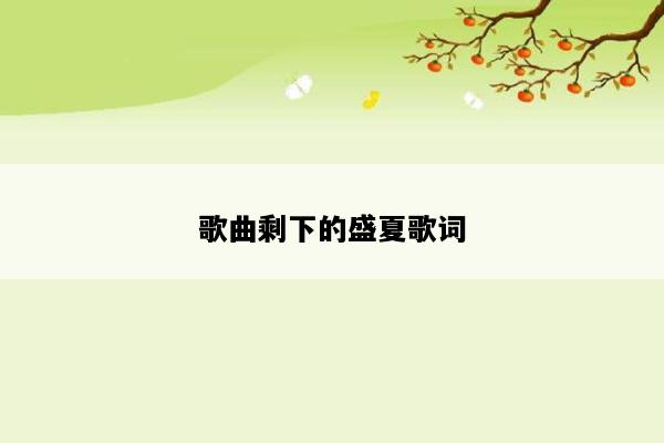 歌曲剩下的盛夏歌词