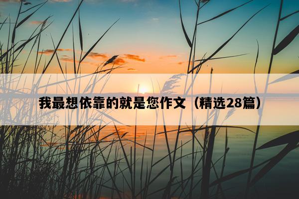 我最想依靠的就是您作文（精选28篇）