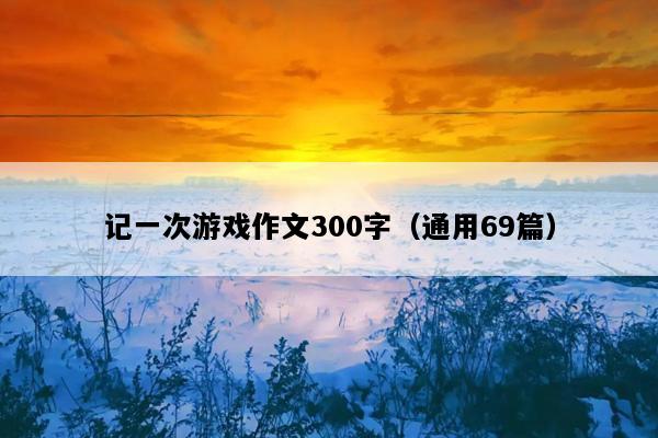记一次游戏作文300字（通用69篇）