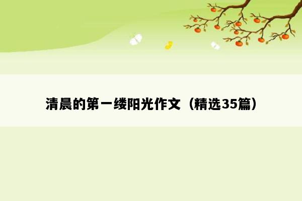 清晨的第一缕阳光作文（精选35篇）