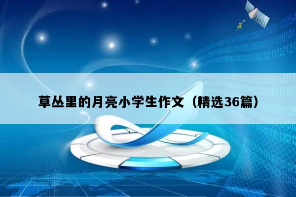 草丛里的月亮小学生作文（精选36篇）
