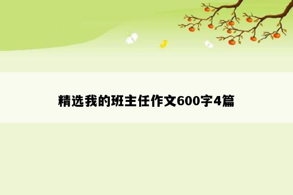 精选我的班主任作文600字4篇