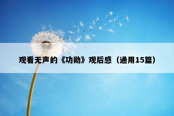 观看无声的《功勋》观后感（通用15篇）
