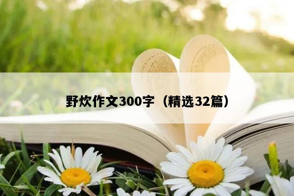 野炊作文300字（精选32篇）