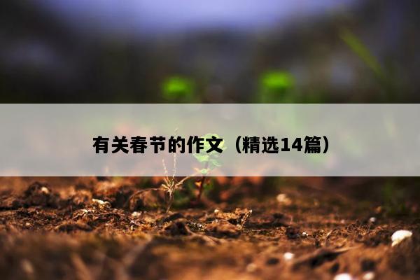 有关春节的作文（精选14篇）