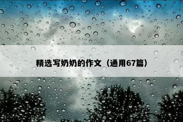 精选写奶奶的作文（通用67篇）