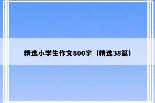 精选小学生作文800字（精选38篇）