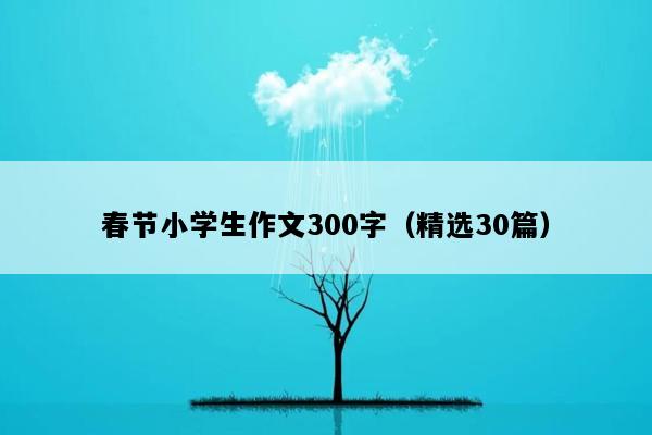 春节小学生作文300字（精选30篇）