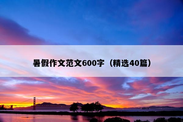 暑假作文范文600字（精选40篇）