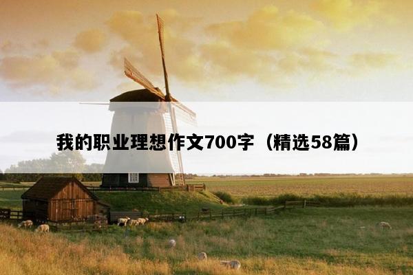 我的职业理想作文700字（精选58篇）
