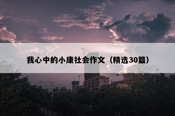我心中的小康社会作文（精选30篇）
