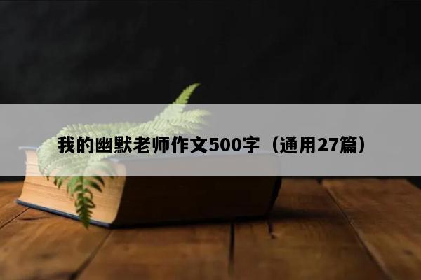 我的幽默老师作文500字（通用27篇）