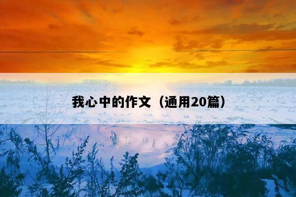 我心中的作文（通用20篇）