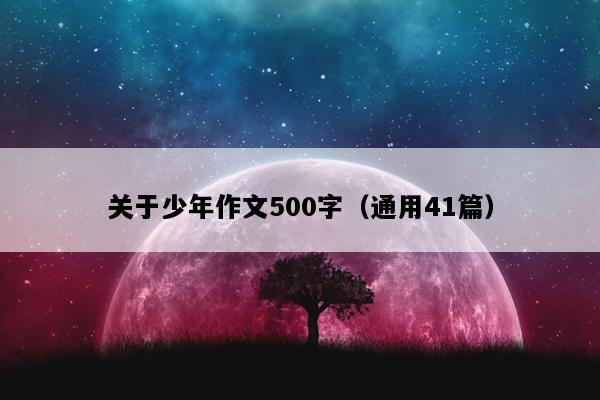 关于少年作文500字（通用41篇）