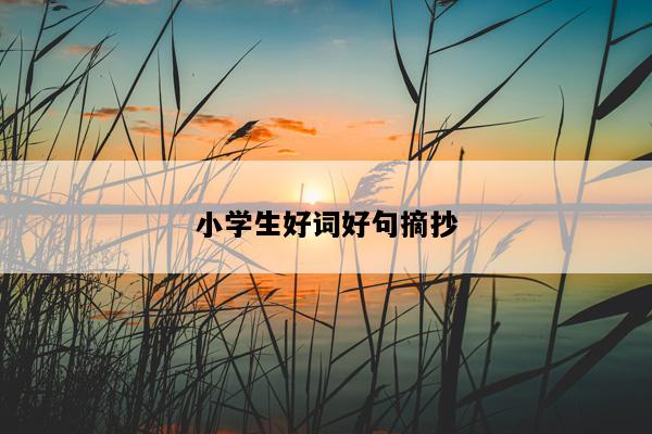 小学生好词好句摘抄