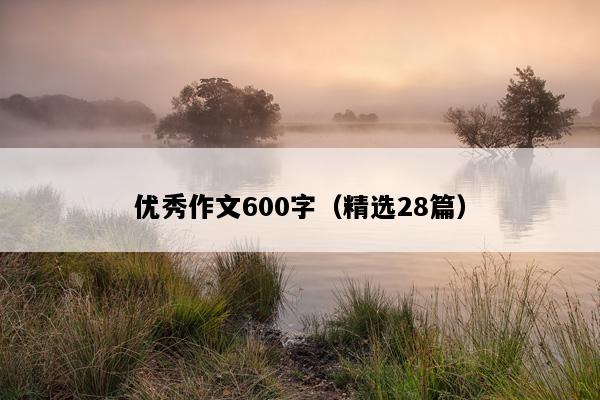 优秀作文600字（精选28篇）