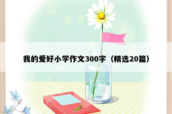 我的爱好小学作文300字（精选20篇）
