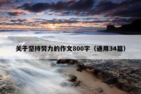 关于坚持努力的作文800字（通用34篇）