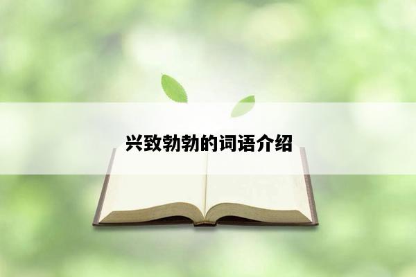 兴致勃勃的词语介绍