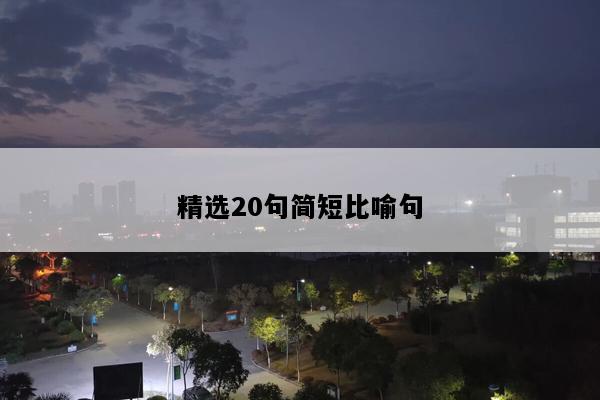 精选20句简短比喻句