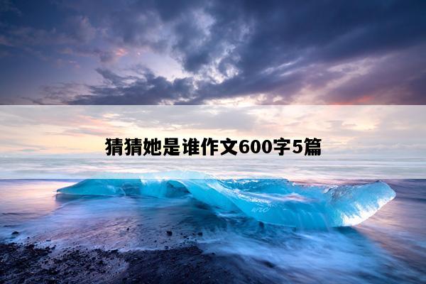 猜猜她是谁作文600字5篇