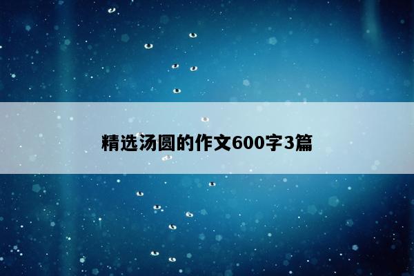 精选汤圆的作文600字3篇