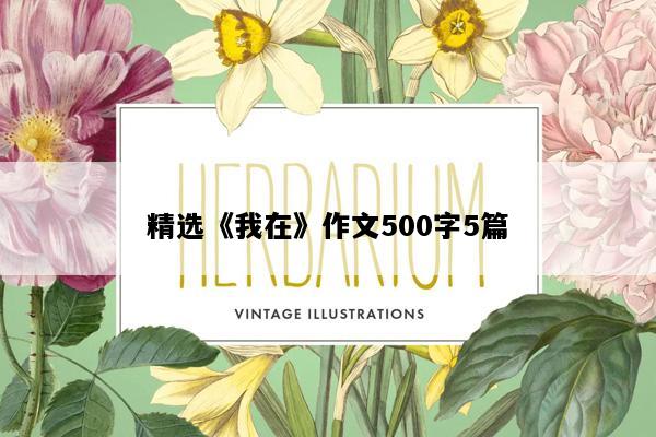 精选《我在》作文500字5篇