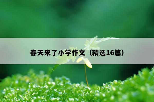 春天来了小学作文（精选16篇）
