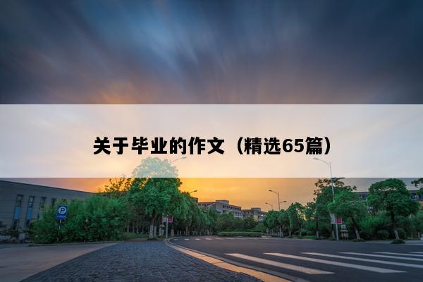 关于毕业的作文（精选65篇）