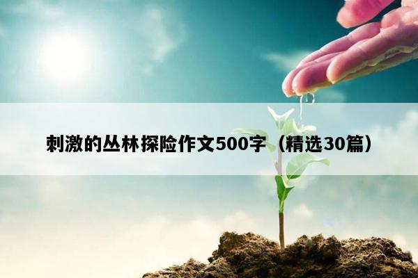 刺激的丛林探险作文500字（精选30篇）