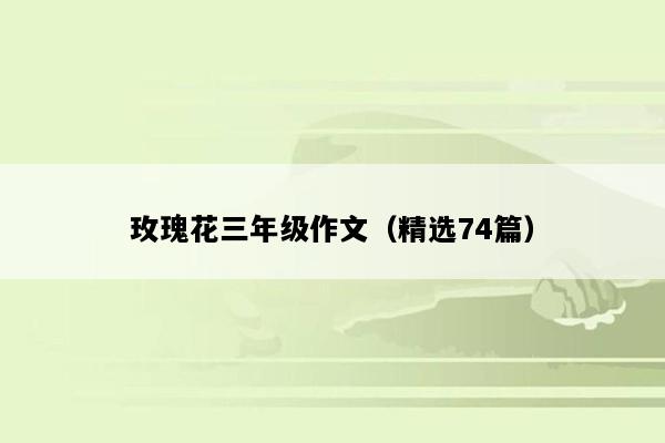 玫瑰花三年级作文（精选74篇）