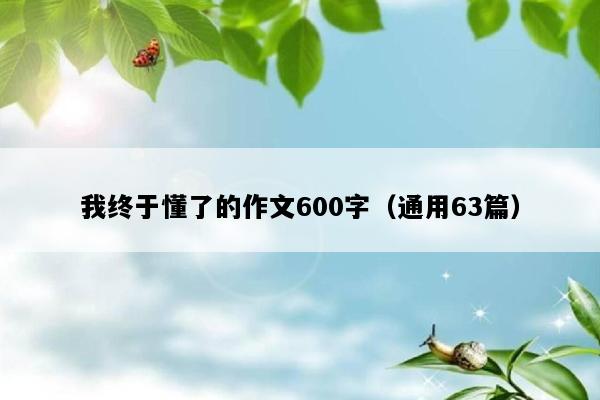 我终于懂了的作文600字（通用63篇）