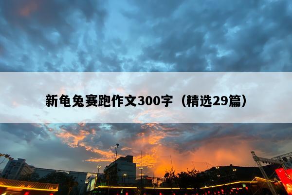 新龟兔赛跑作文300字（精选29篇）