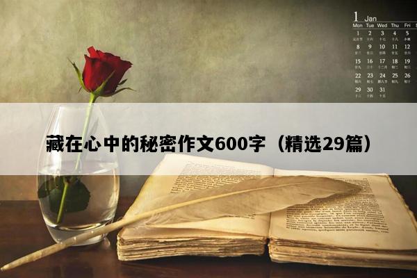 藏在心中的秘密作文600字（精选29篇）