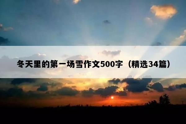 冬天里的第一场雪作文500字（精选34篇）