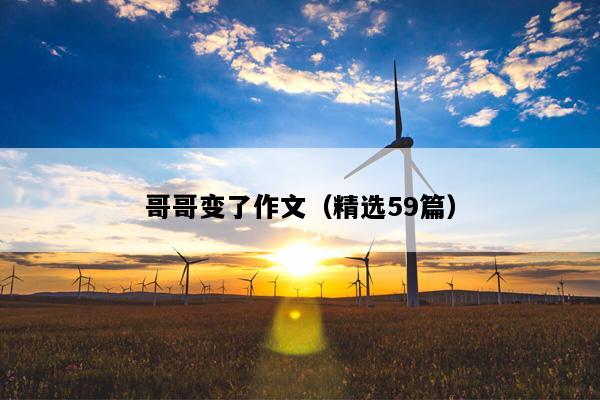 哥哥变了作文（精选59篇）