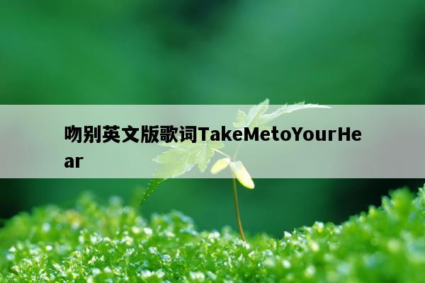 吻别英文版歌词TakeMetoYourHear