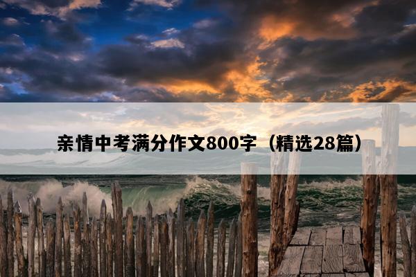 亲情中考满分作文800字（精选28篇）
