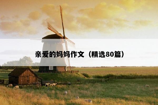 亲爱的妈妈作文（精选80篇）