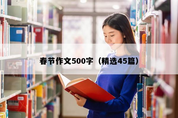 春节作文500字（精选45篇）
