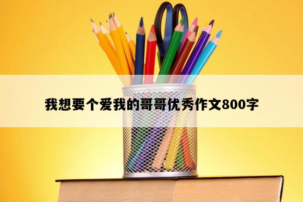 我想要个爱我的哥哥优秀作文800字