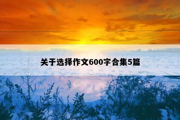 关于选择作文600字合集5篇