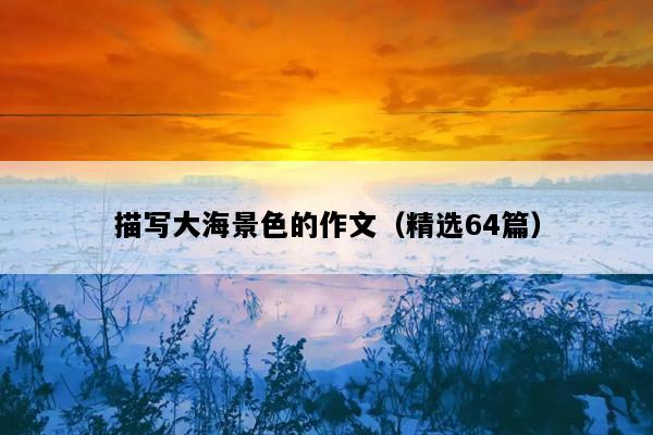 描写大海景色的作文（精选64篇）
