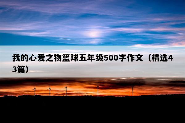 我的心爱之物篮球五年级500字作文（精选43篇）